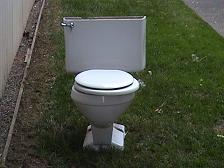 Toilet on Lawn